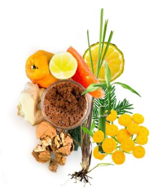 Ohana Gingergrass Bamboo Scrub, 14.5 oz