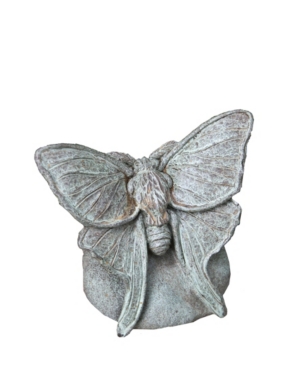 Shop Campania International Lunar Moth Garden Statue In Black