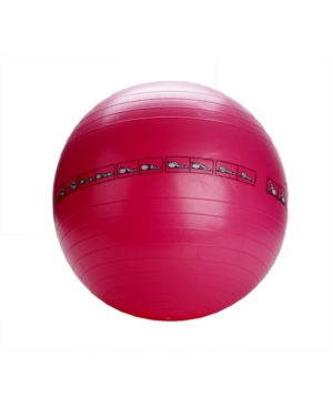 Mind Reader Exercise Yoga Ball for Fitness