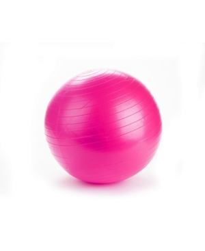 Mind Reader Exercise Yoga Ball for Fitness
