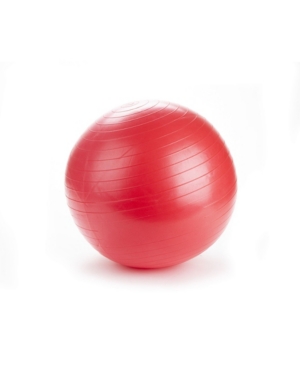 Mind Reader Exercise Yoga Ball for Fitness