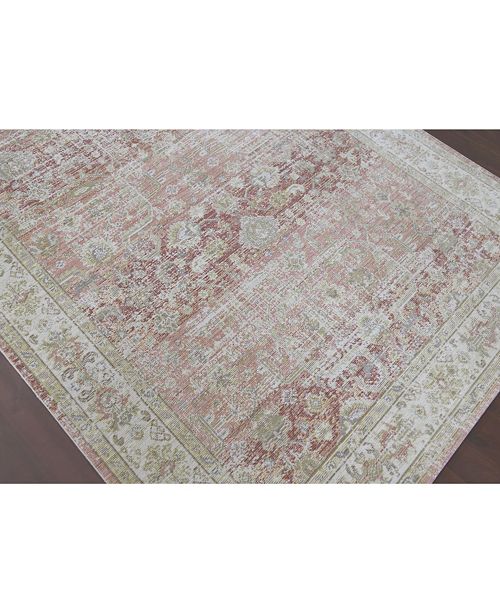 Amer Rugs Century Cen 8 Salmon 5 3 X 7 3 Area Rug Reviews Rugs Macy S