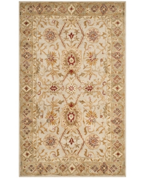 Safavieh Antiquity At816 Gray And Beige 5' X 8' Area Rug