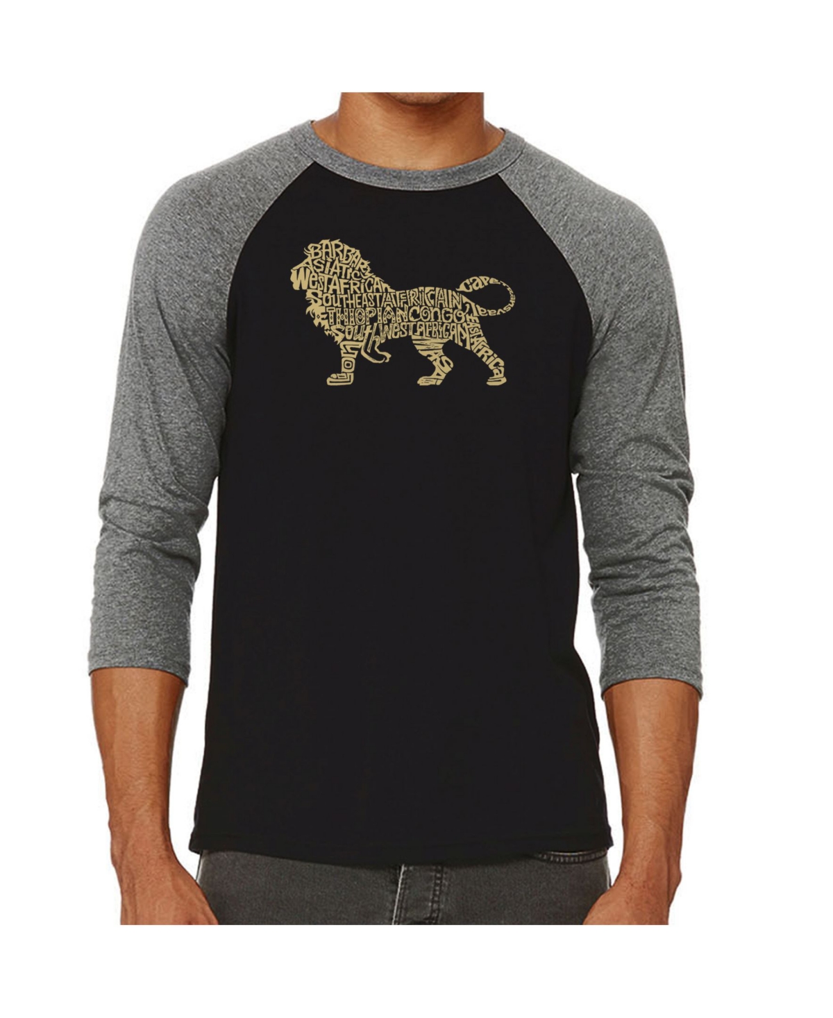 La Pop Art Lion Men's Raglan Word Art T-shirt