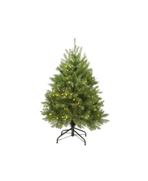 Northlight Pre-Lit Full Northern Pine Artificial Christmas Tree-Warm Clear Led Lights