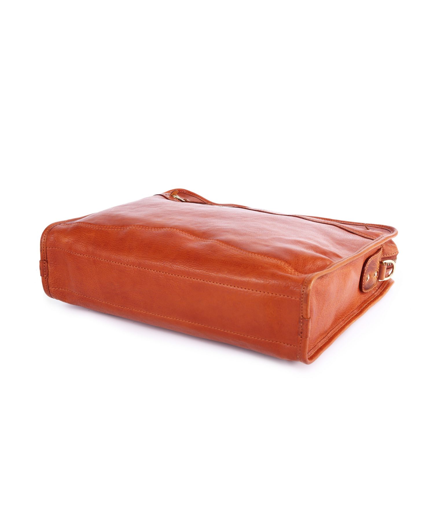 Women's Genuine Leather Ficus Brief Case