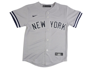 Nike Youth New York Yankees Official Blank Jersey