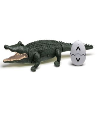 gator toys r us