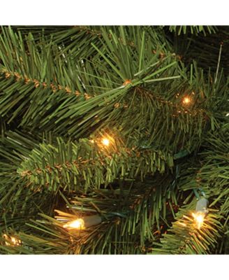 6.5' Winchester Pine Tree with 400 Clear Lights