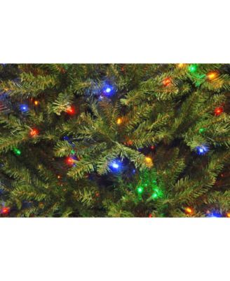 National Tree Company 9' Dunhill Fir Hinged Tree with 900 Low Voltage Dual LED Lights with 9 Function Footswitch