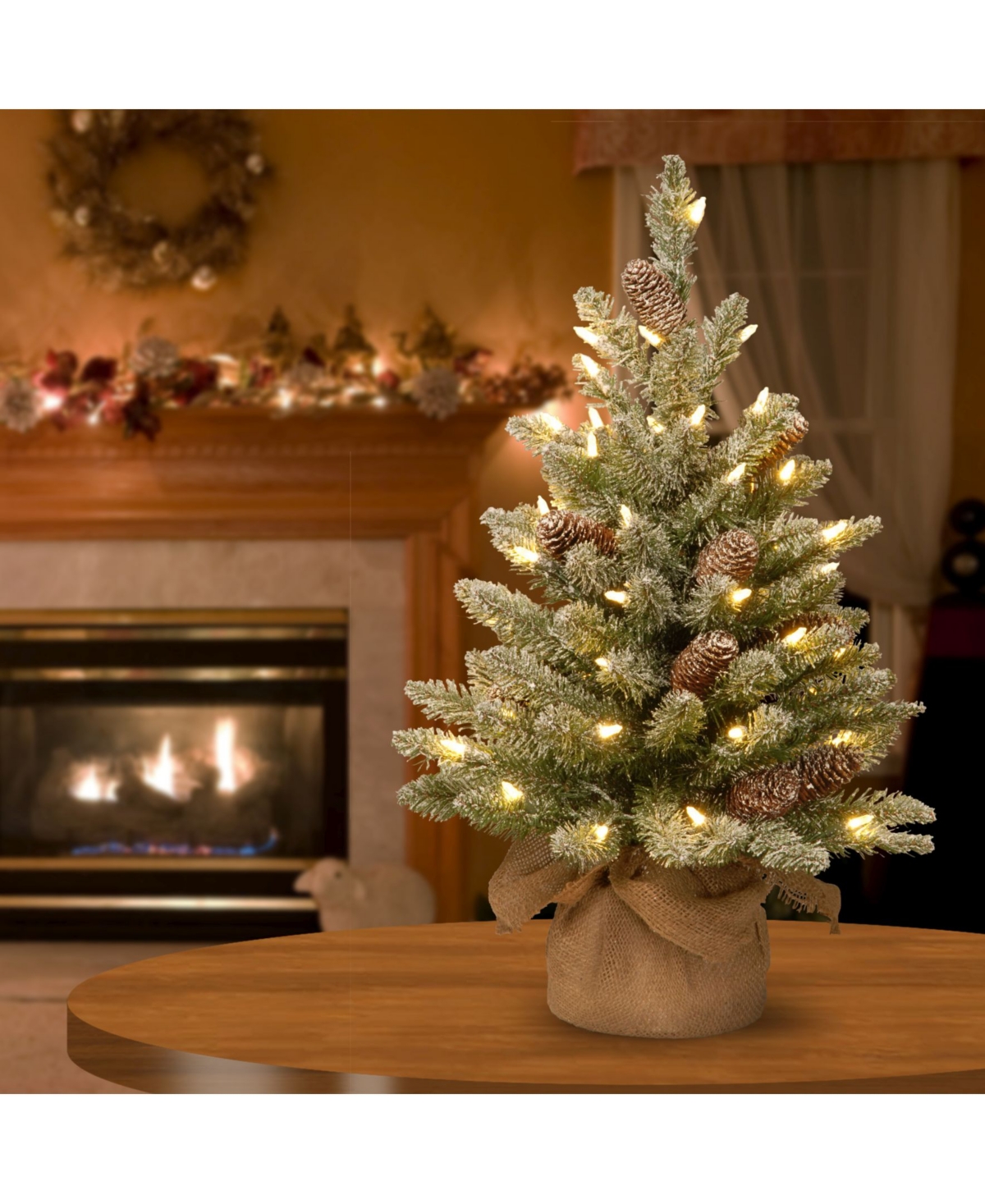 National Tree Company Snowy Concolor Fir Small Tree in Burlap with Snowy Cones & 50 Warm White Battery Operated LEDs with Timer