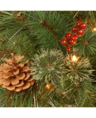 National Tree Company 30" Glistening Pine Wreath with Pine Cones, Red Berries, Twigs & 50 Warm White Battery Operated LED Lights w/Timer