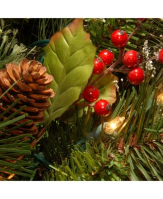 National Tree Company 30" Wintry Pine Wreath with Cones, Red Berries, Snowflakes and 100 Clear Lights