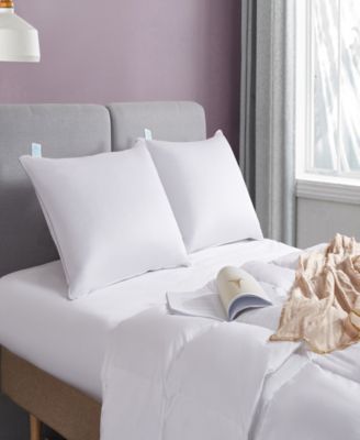 Premium Down Pillow, Jumbo