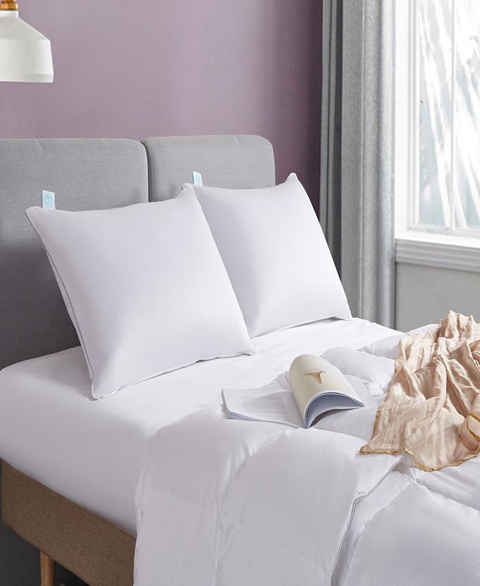 Martha Stewart Premium Down Pillow, Jumbo & Reviews Pillows Bed