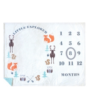 Hudson Baby Boys and Girls Plush Holiday and Milestone Blanket