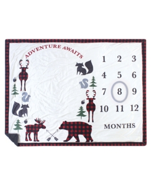 Hudson Baby Boys and Girls Plush Holiday and Milestone Blanket