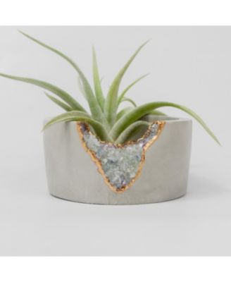 Tal & Bert - Fluorite Shallow Mini Planter