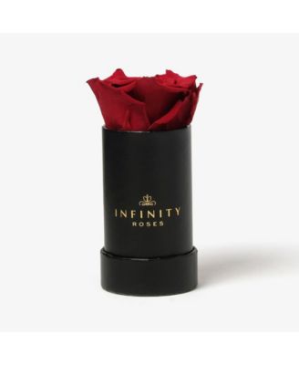 Infinity Roses