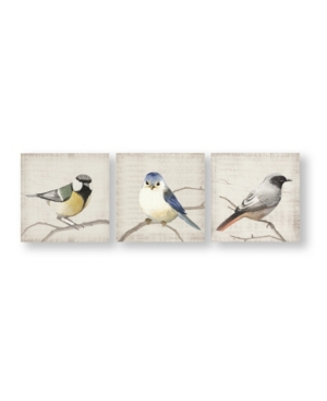 Graham & Brown Perched Birds Canvas Wall Art, Set Of 3 In Multi