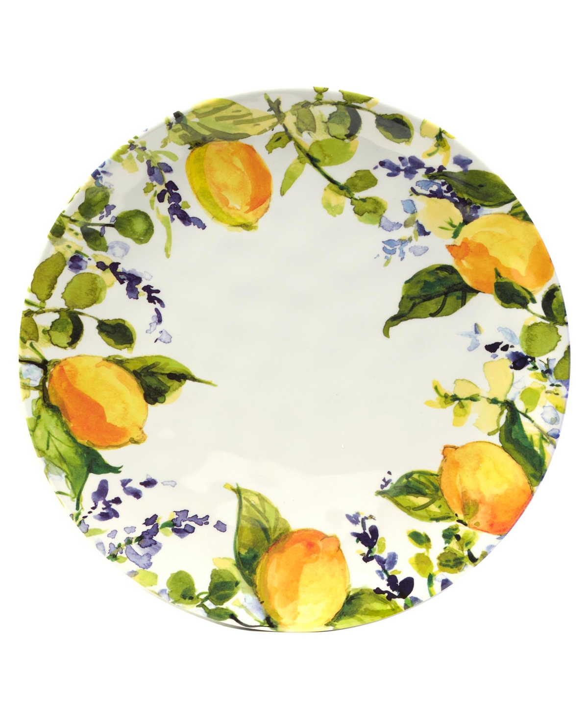 Certified Lemon Zest 6 Piece Melamine Dinner Plate