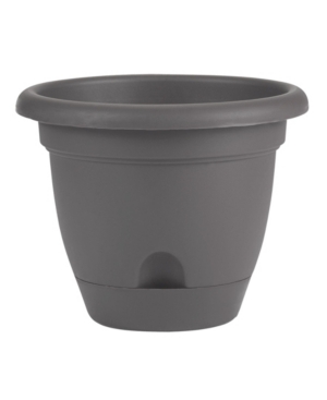 Bloem Lucca Self Watering Planter with 10