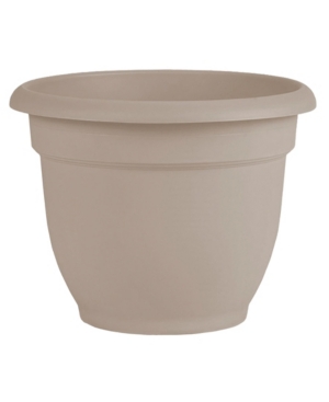 Bloem Ariana Self Watering 10