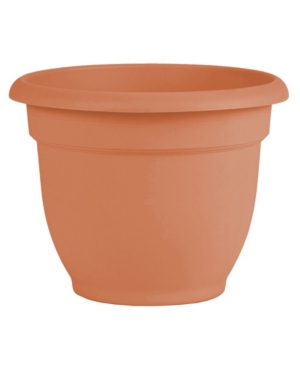 Bloem Ariana Self Watering 10