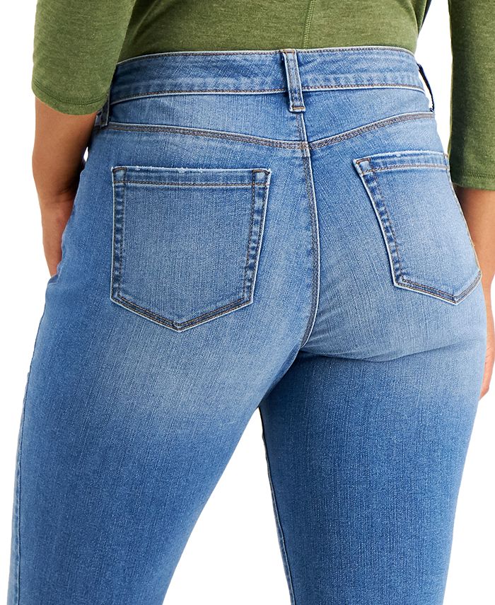 style & co curvy skinny leg