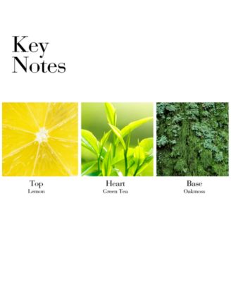 Green Tea Scent Spray, 3.3 oz.