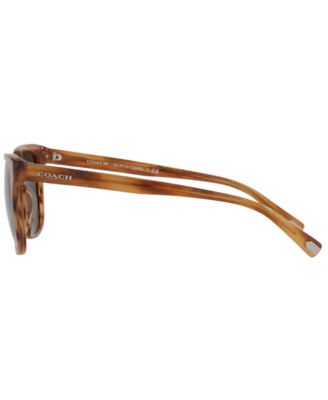 Sunglasses, HC8313U 54 C2095