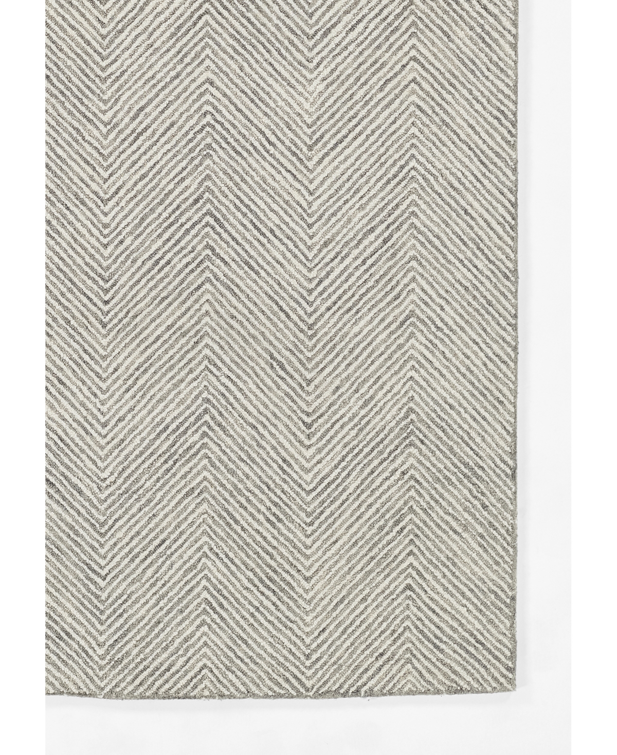 Momeni Charles Charschr-1 2' x 3' Area Rug