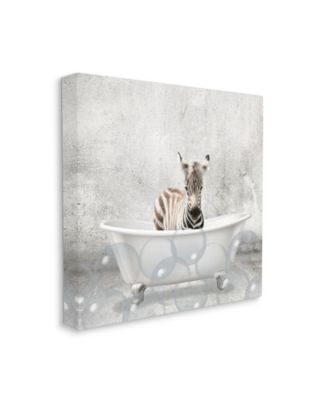 Baby Zebra Bath Time Cute Animal Design Stretched Canvas Wall Art, 24" x 24"