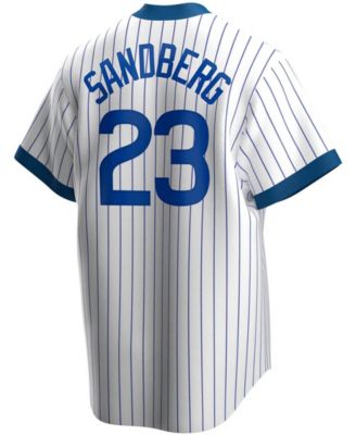 Cubs No23 Ryne Sandberg Men's Nike White Fluttering USA Flag Limited Edition Authentic Jersey