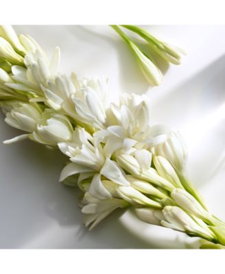 Michael Kors 3-Pc. Fragrance Gift Set