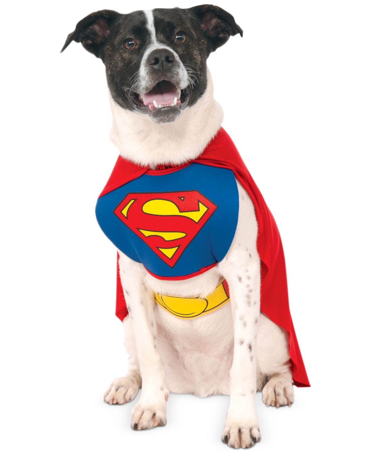 UPC 883028789252 product image for Rubie's Pet Shop Boutique Superman Pet Costume, S/M Dog | upcitemdb.com