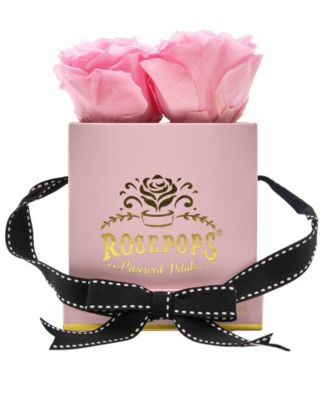 Rosepops