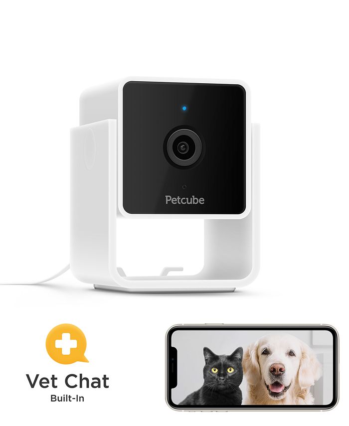 Petcube Smart HD Pet Camera Macy's