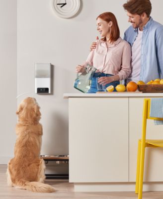 Petcube Bites 2 Lite Smart HD Pet Camera with Treat Dispenser