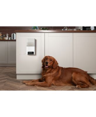 Petcube Bites 2 Lite Smart HD Pet Camera with Treat Dispenser