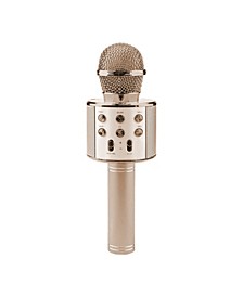 iTech Audio Portable Karaoke Microphone
