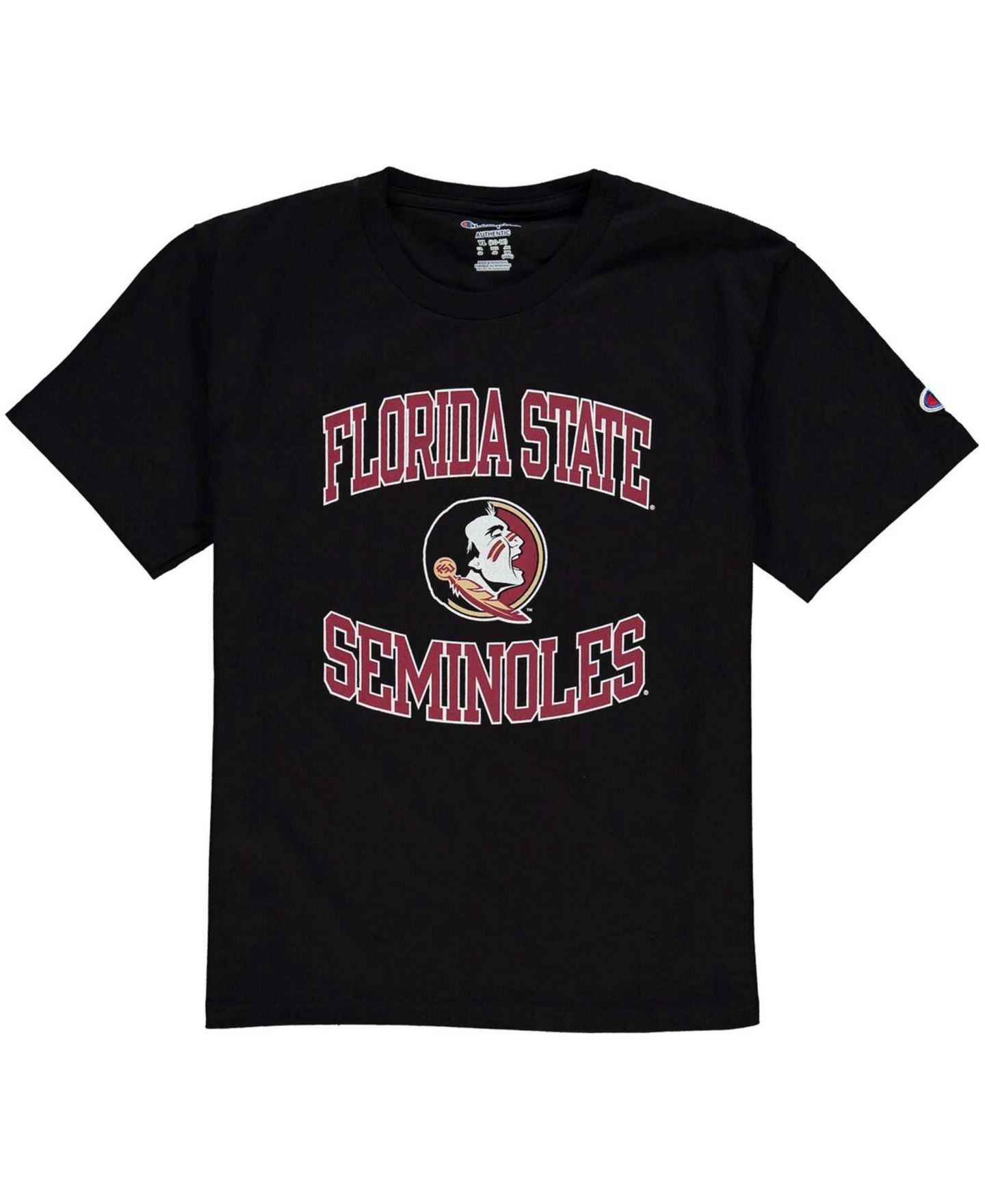 Детская футболка Champion Black Florida State Seminoles Circling Team Jersey T-shirt — фото 1