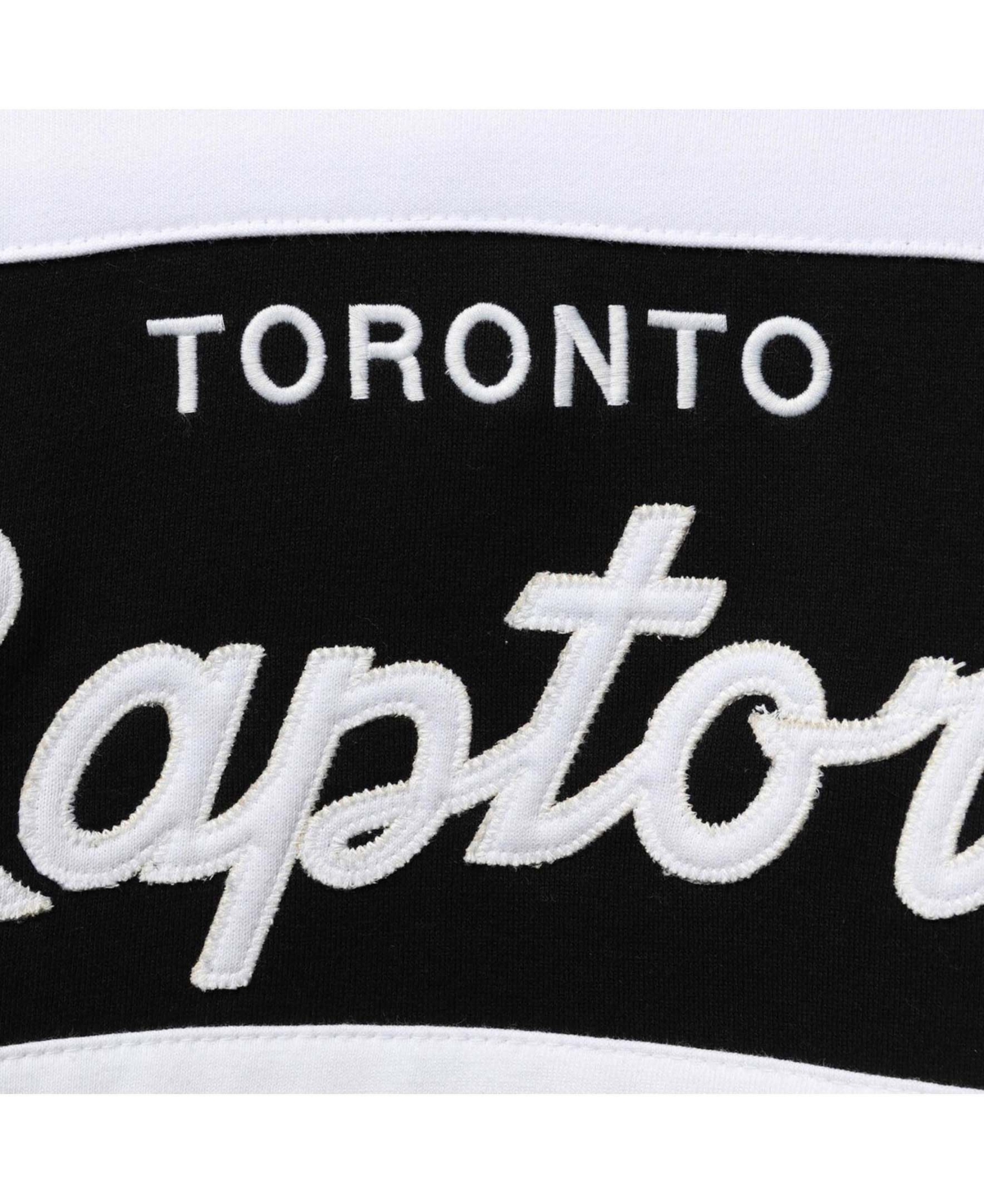 Toronto Raptors Fashion Preferred Logo Hoodie - Mens