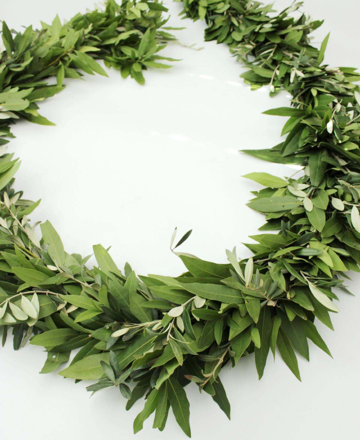 MAGNOLIA SUPPLY CO FRESH BAY LEAF AND OLIVE HOLIDAY GARLAND, 6' 