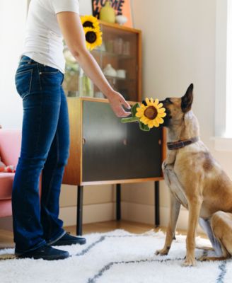 Blooming Buddies Collection: Sassy Sunflower