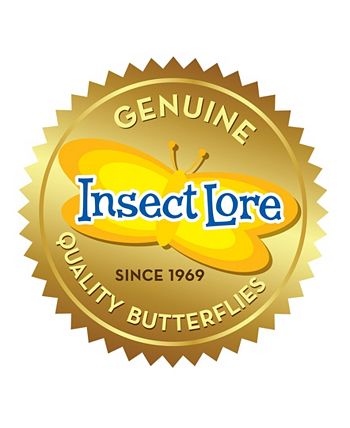 Insect Lore - 