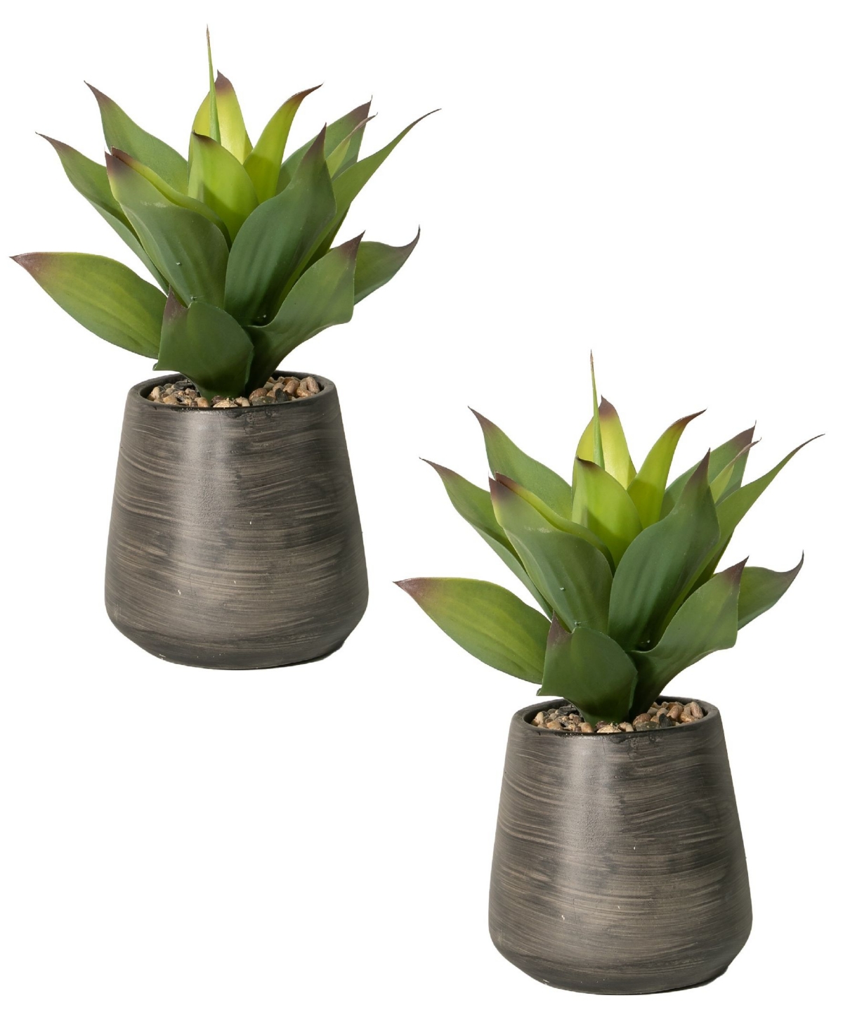 16" Tall Realistic Agave Plant in Cement Vase, Pack of 2 - Green