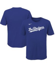 Youth Los Angeles Dodgers Freddie Freeman Nike Royal City Connect Name &  Number T-Shirt