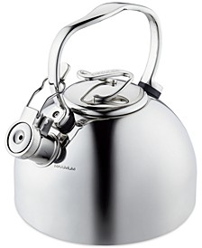 Stainless Steel 2-Qt. Whistling Teakettle with Flip-Up Spout