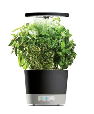 AeroGarden - Harvest 360 6-Pod Countertop Garden